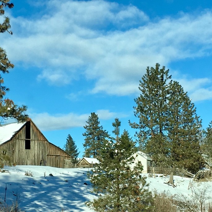 84B643BF-C0FA-4710-B762-CE5B84BA08E1