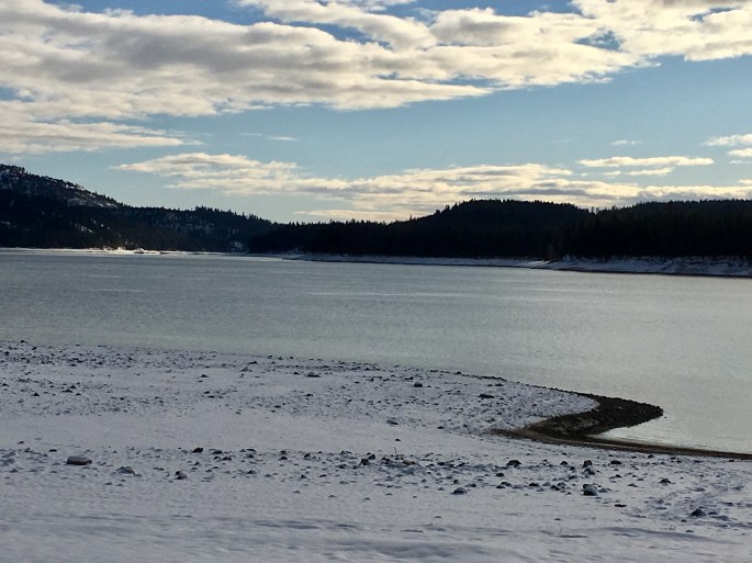 C54C9CEF-260F-4299-BF31-E9B2E7CAA02A