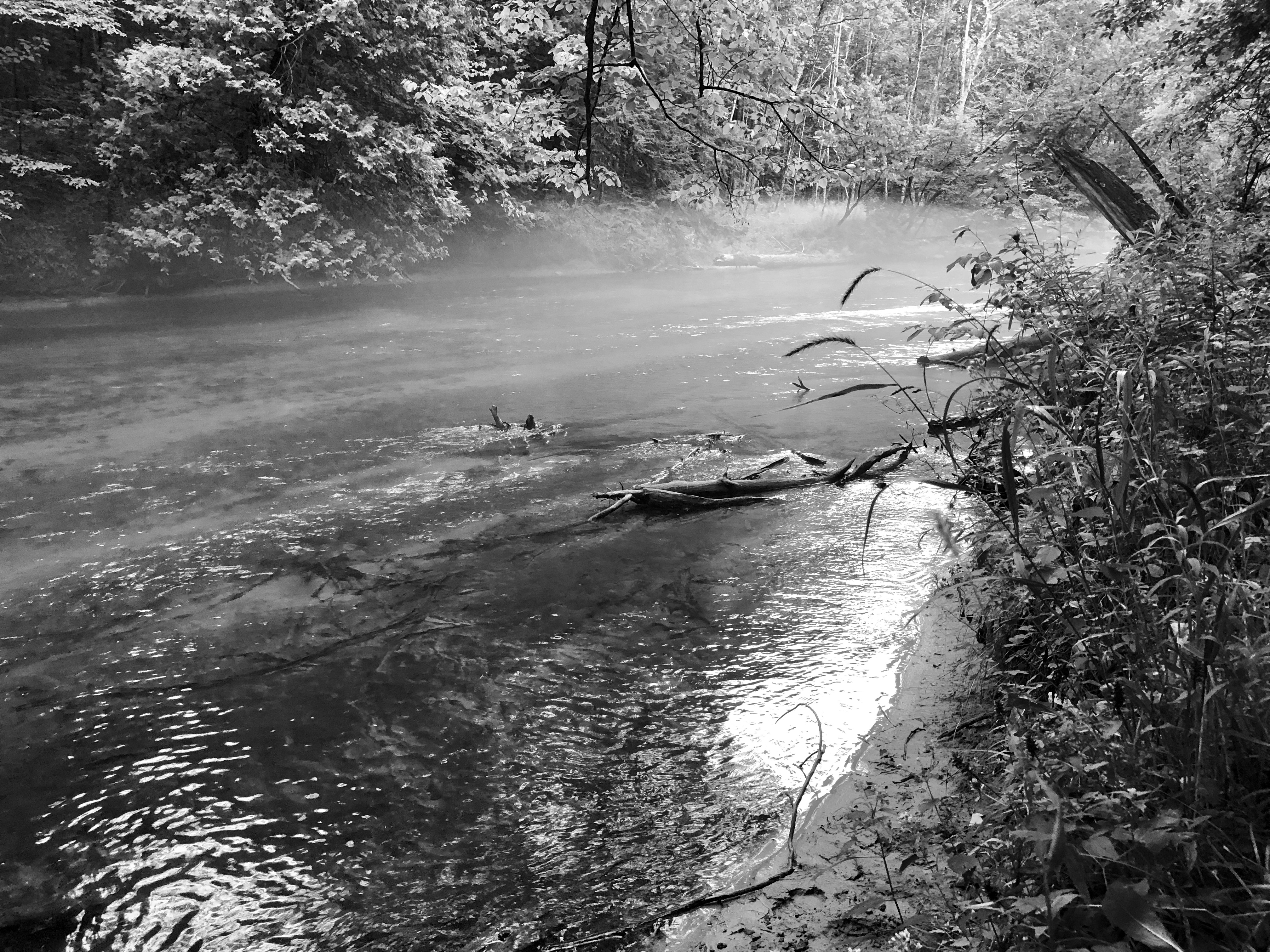 22117A0D-6C19-4FCA-A821-B945A6CD5E08