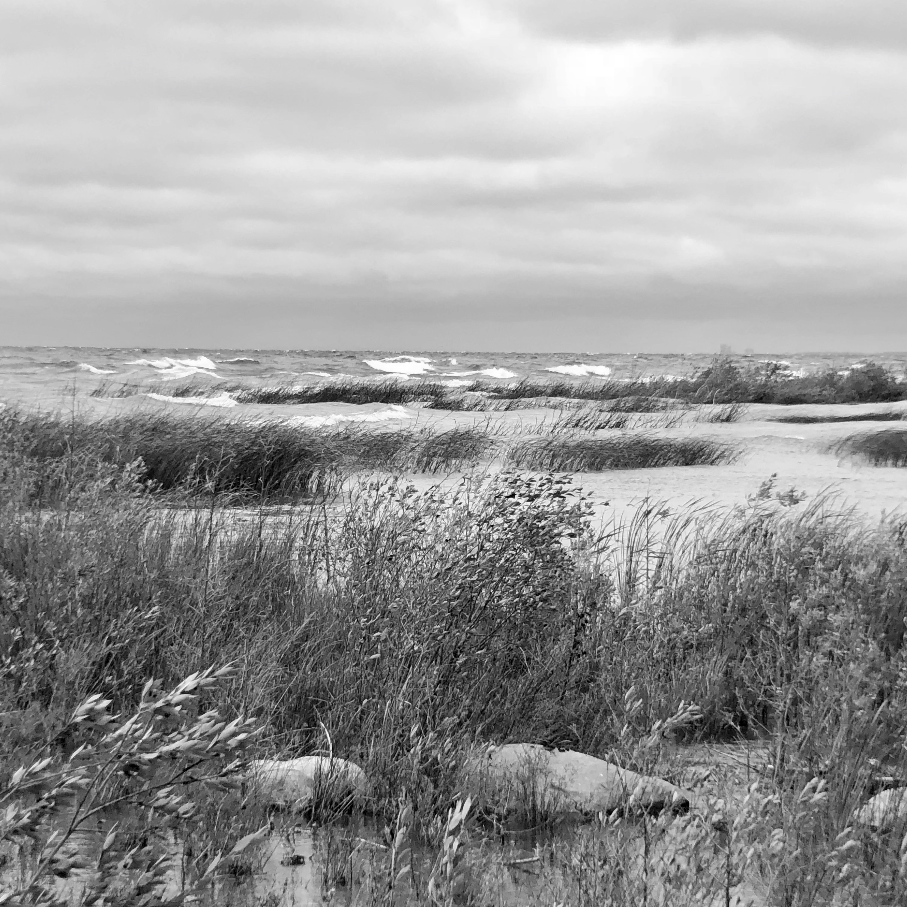 61CDCA35-416C-40CF-B03C-DF15699953DE