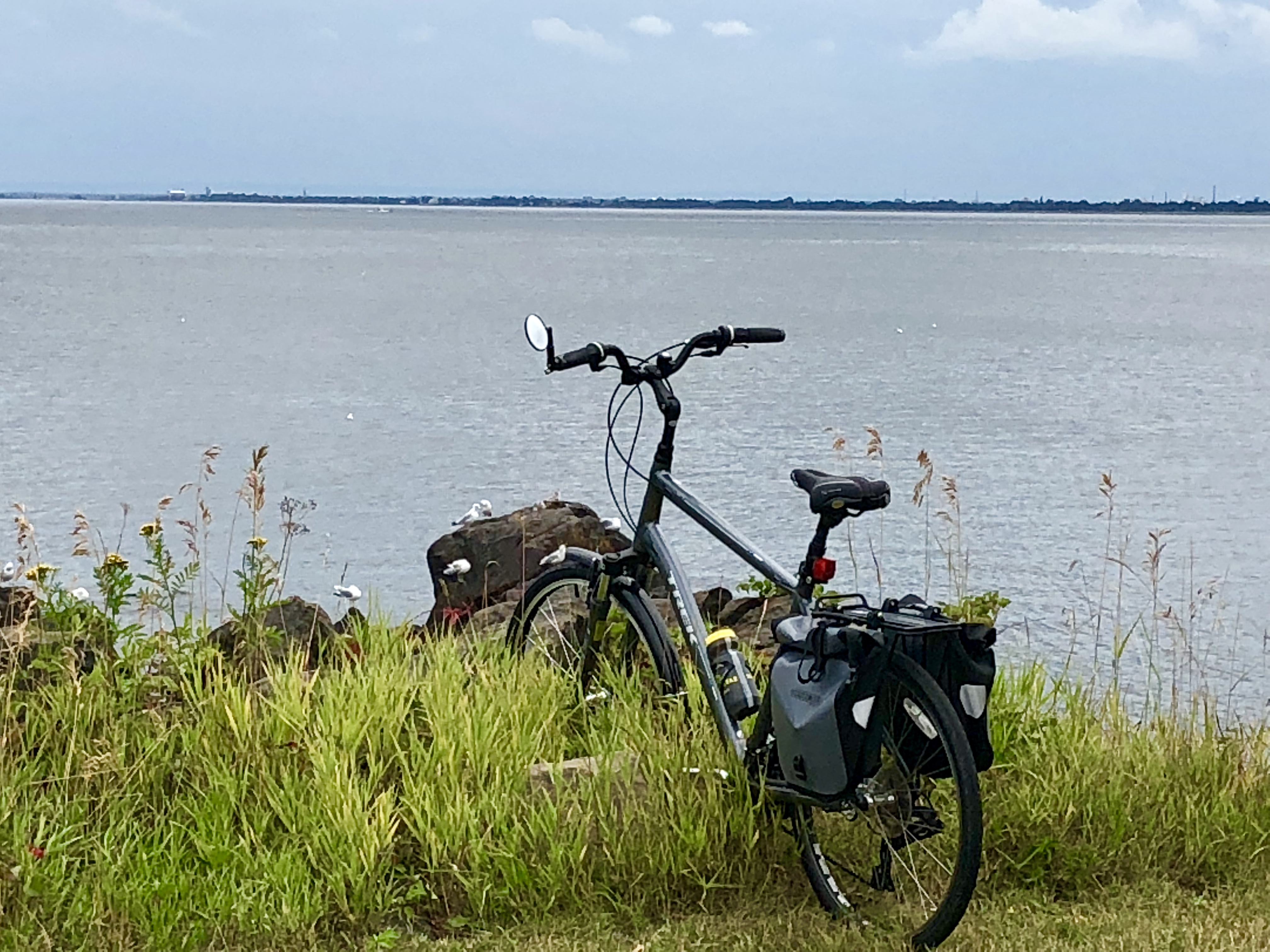 95370068-19F7-4F4C-9EE0-A73137DD03A4