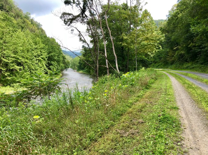 A131A530-E6EF-4FAE-8DA6-5781C3B4E03E