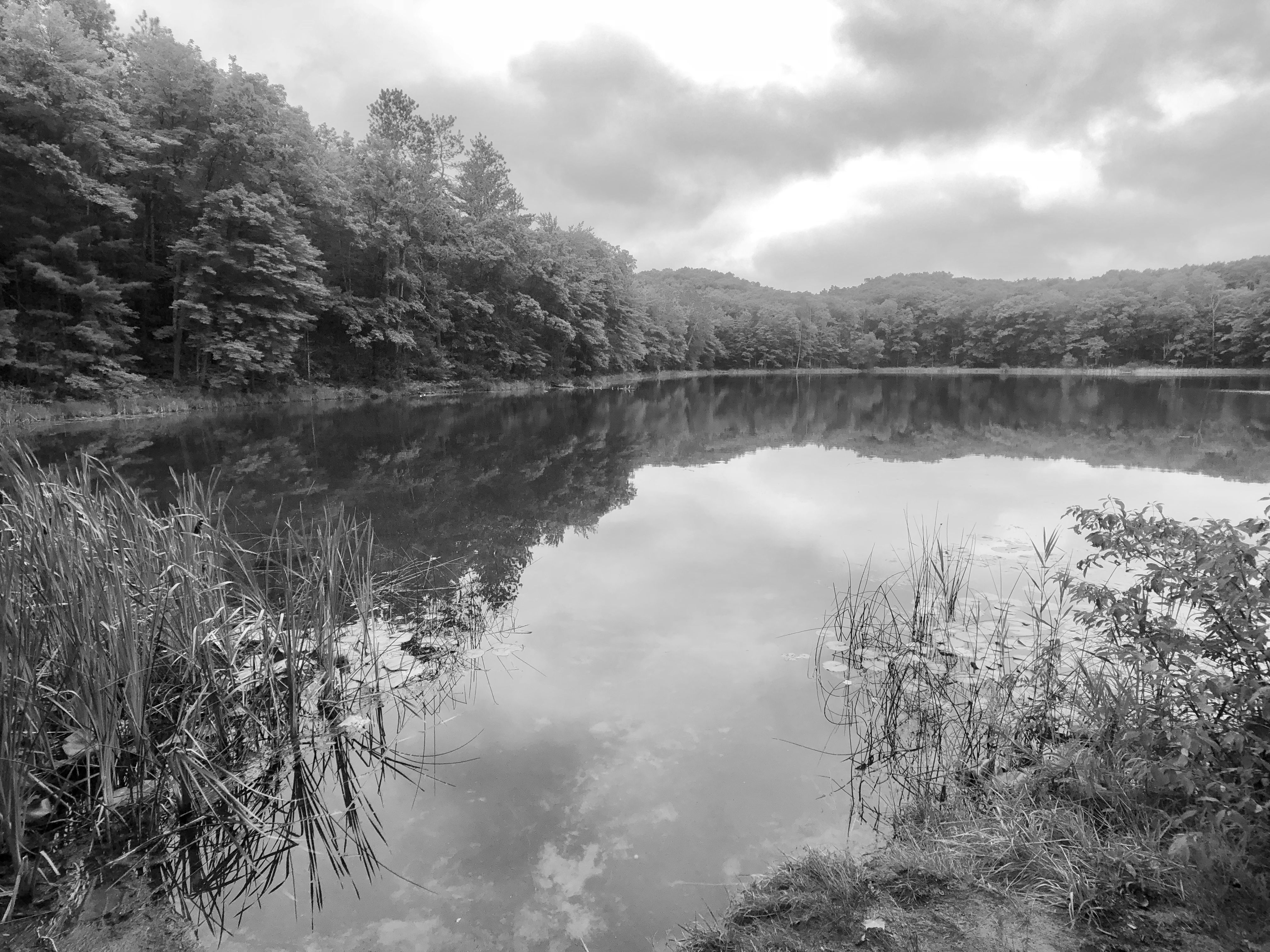 B32B595C-3A1D-4950-BE9F-1F843055A281