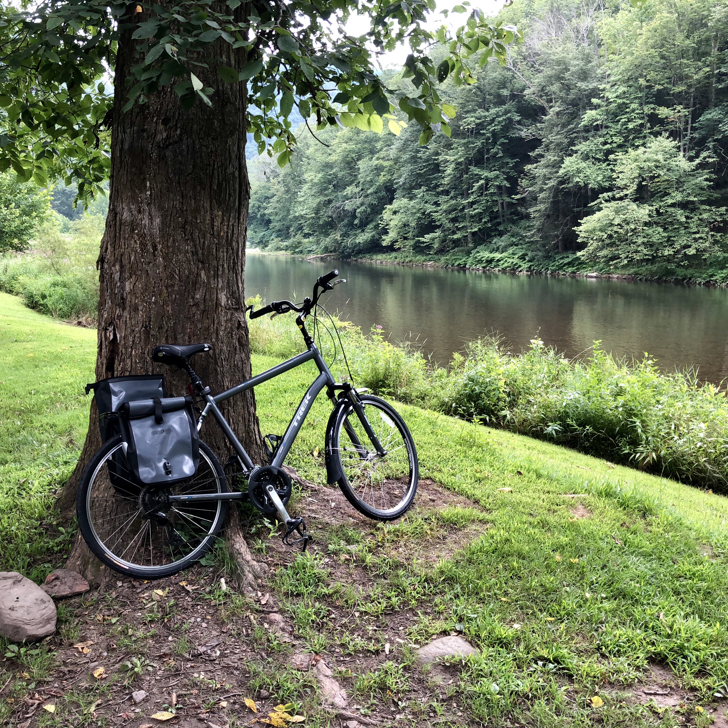 BE1753AF-EC66-4626-B254-6C1FD83F2A36