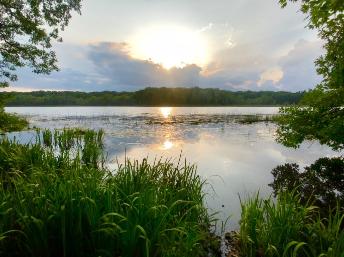 BF99B020-3E82-4EE1-BEE5-24CCDCB73EFB