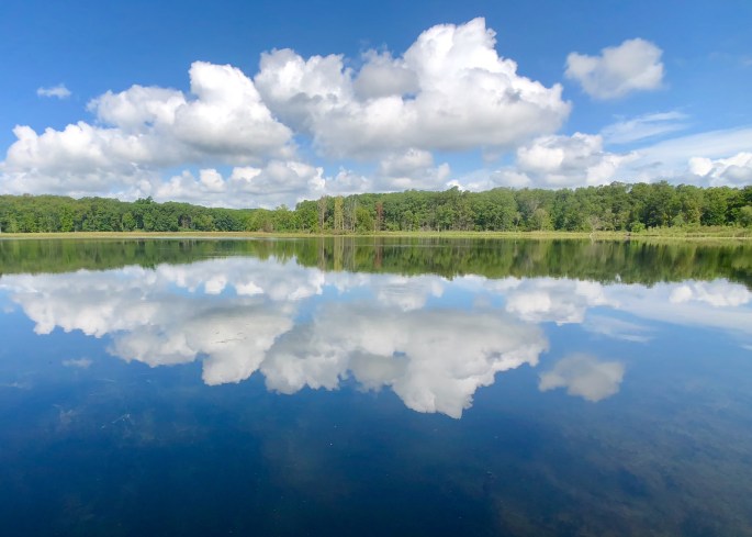 C9FD0F54-8ED1-4073-99A2-6C46B1BFC7C3