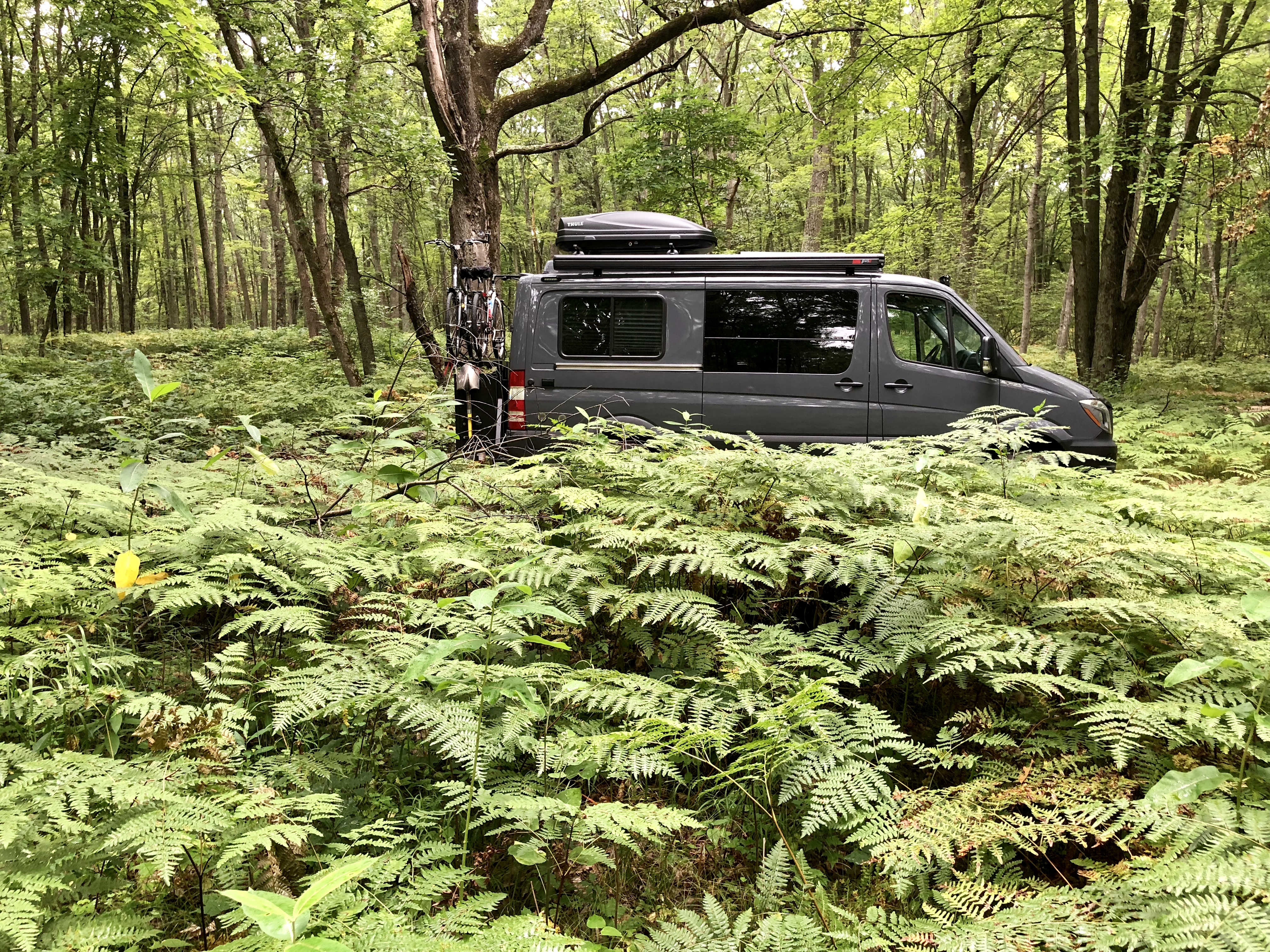 F3A35185-B49A-42FB-BF74-B9039E93E5AB