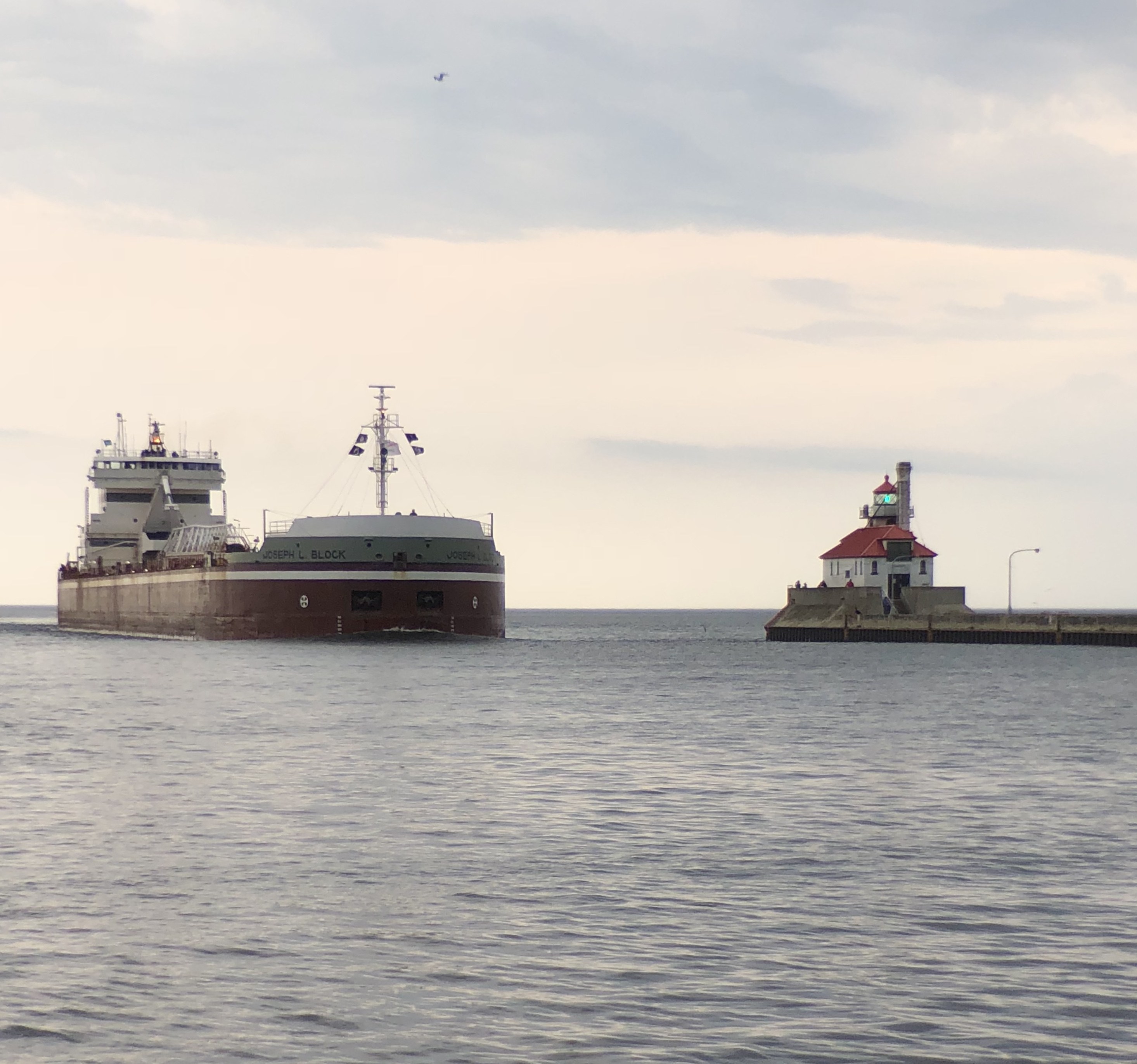 FF77F90E-A1AB-418F-B9BD-41FE60D6119C