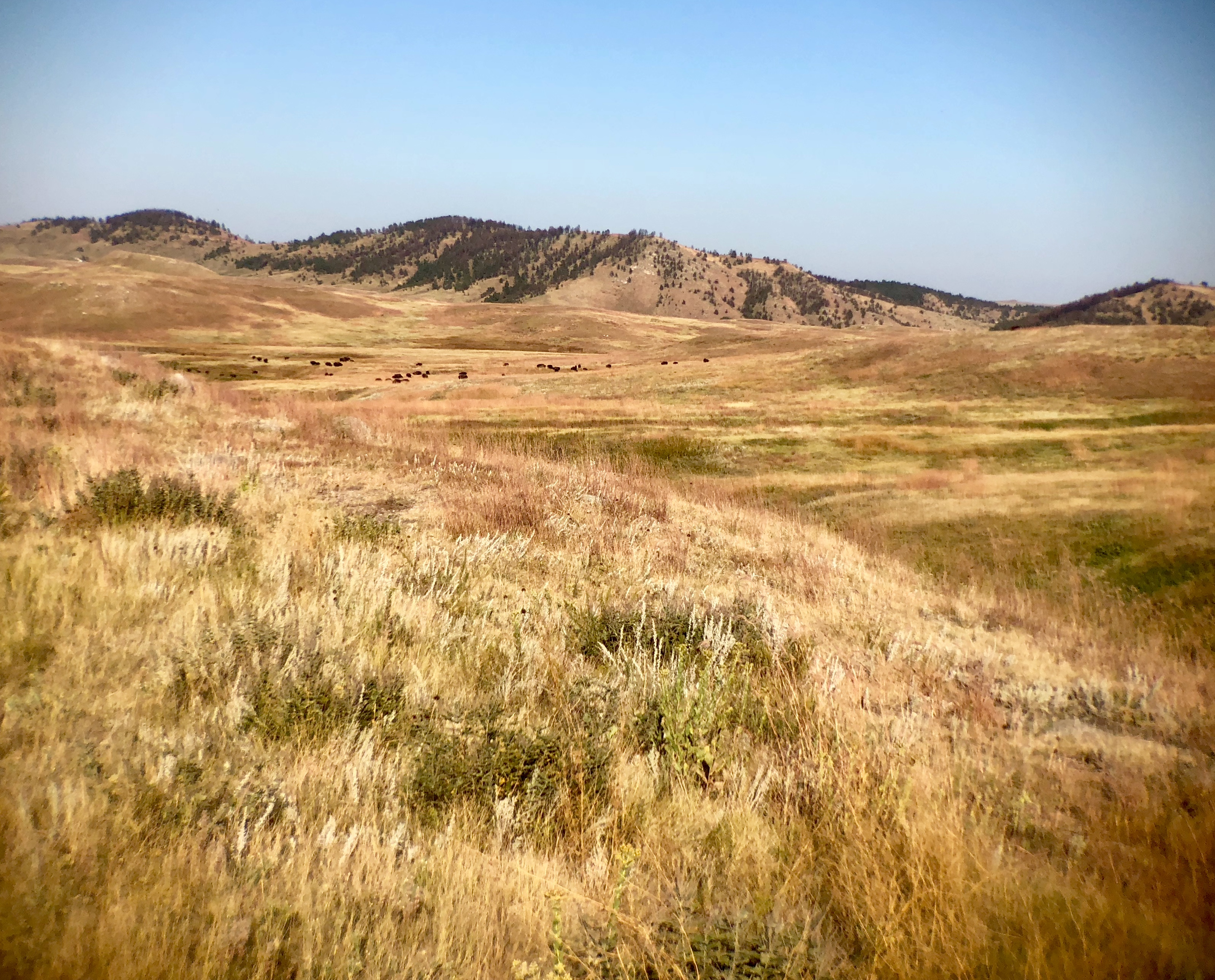 3C86C967-C9AA-4CC2-AF9E-0BC69108A673