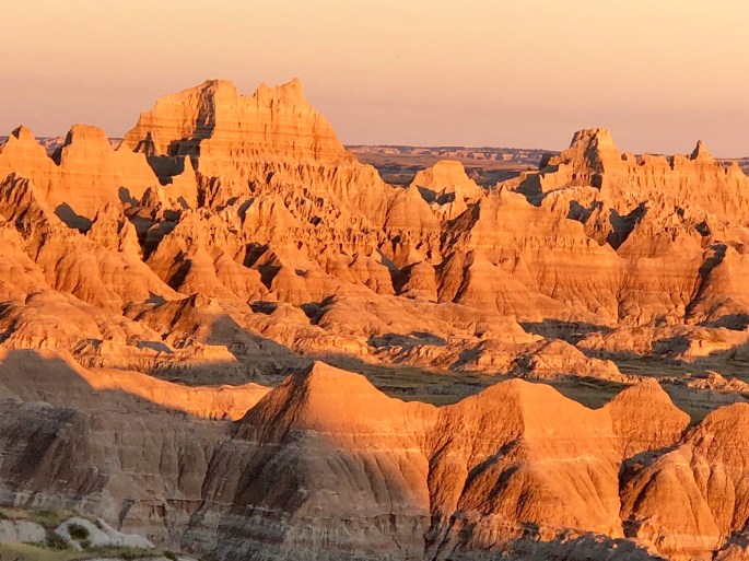 8F2A8A5F-9F96-43CC-9B5F-8E46246B1DDD