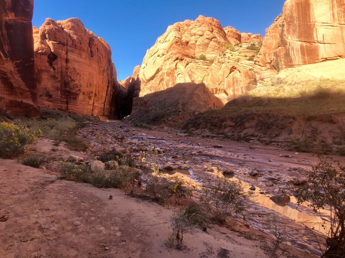 05E8EA15-6529-4888-B419-43EA4E9946E6