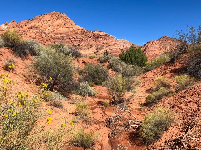 09DA180B-231B-4FB4-B059-C8F2079480C4