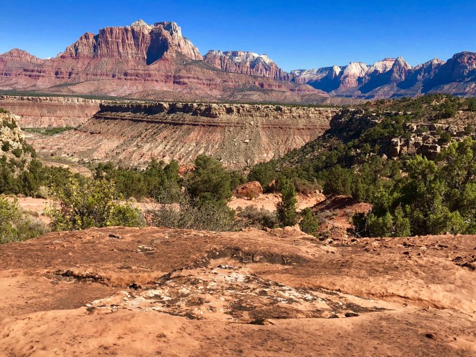 14740F96-9AF3-4A14-943B-9E8D205D5F8C