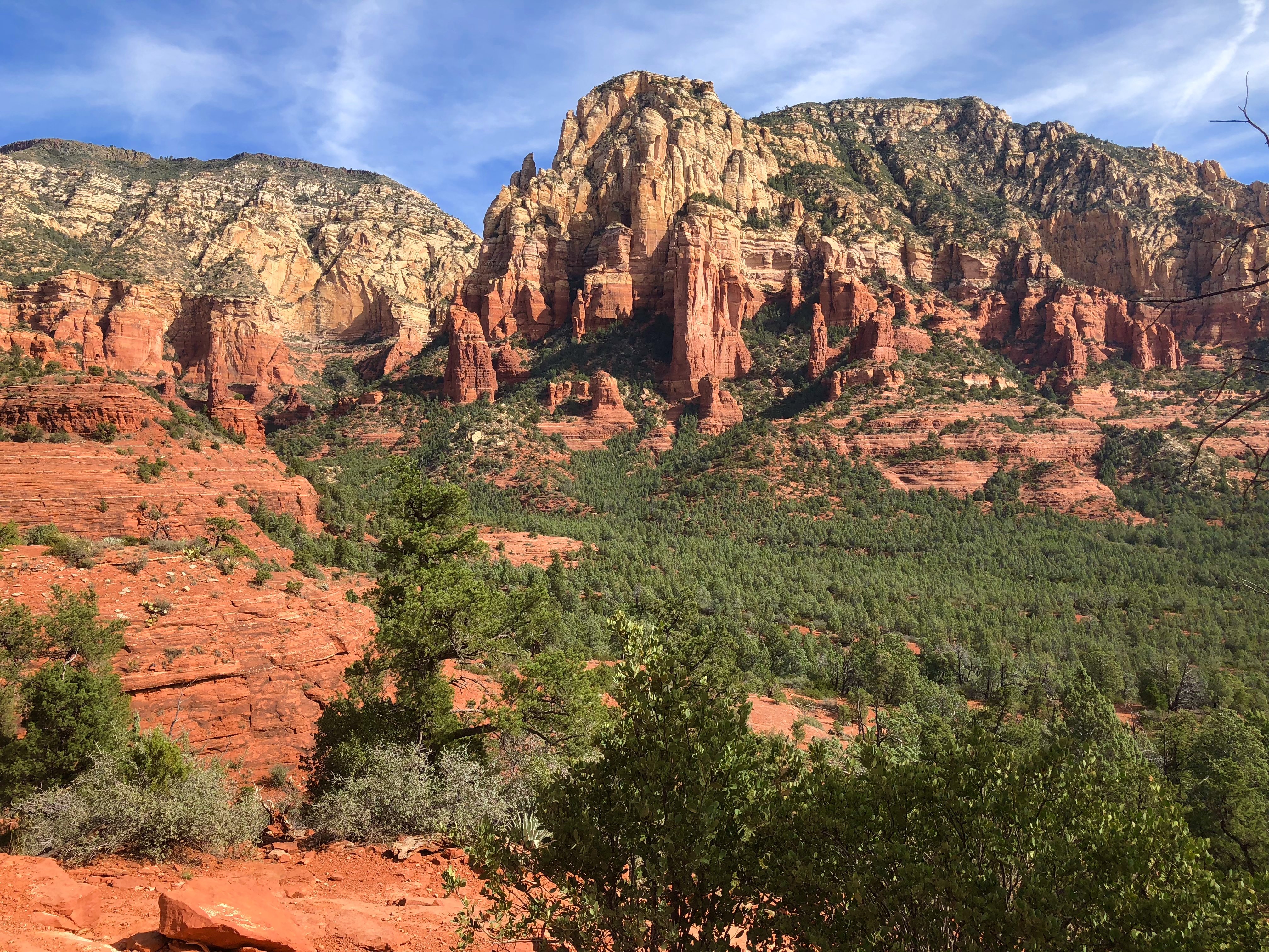 7980F32F-7824-438B-BC01-202DBA33CC1A