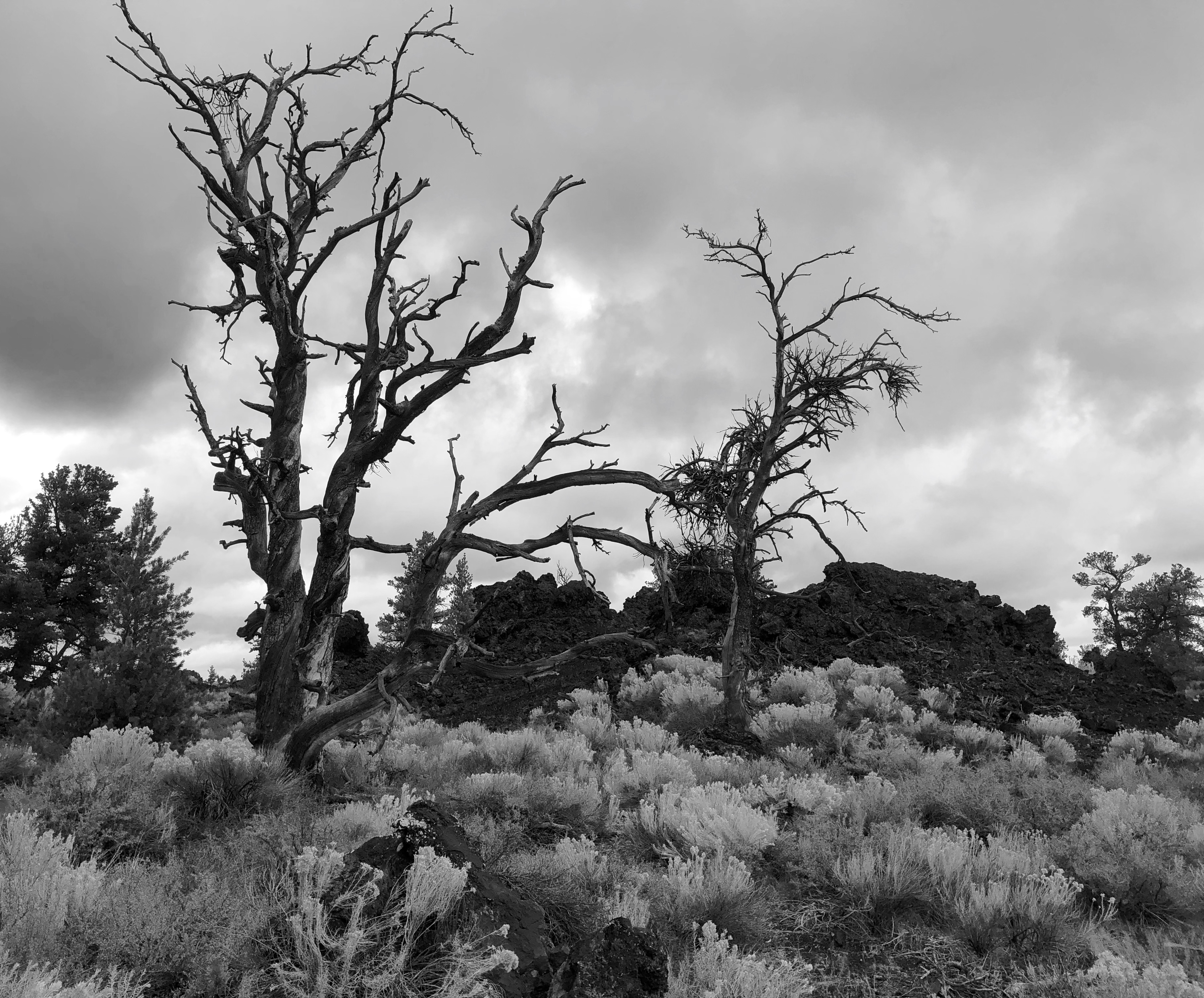 7E57BA9C-6770-4BD5-8E6B-4640CD455ECF