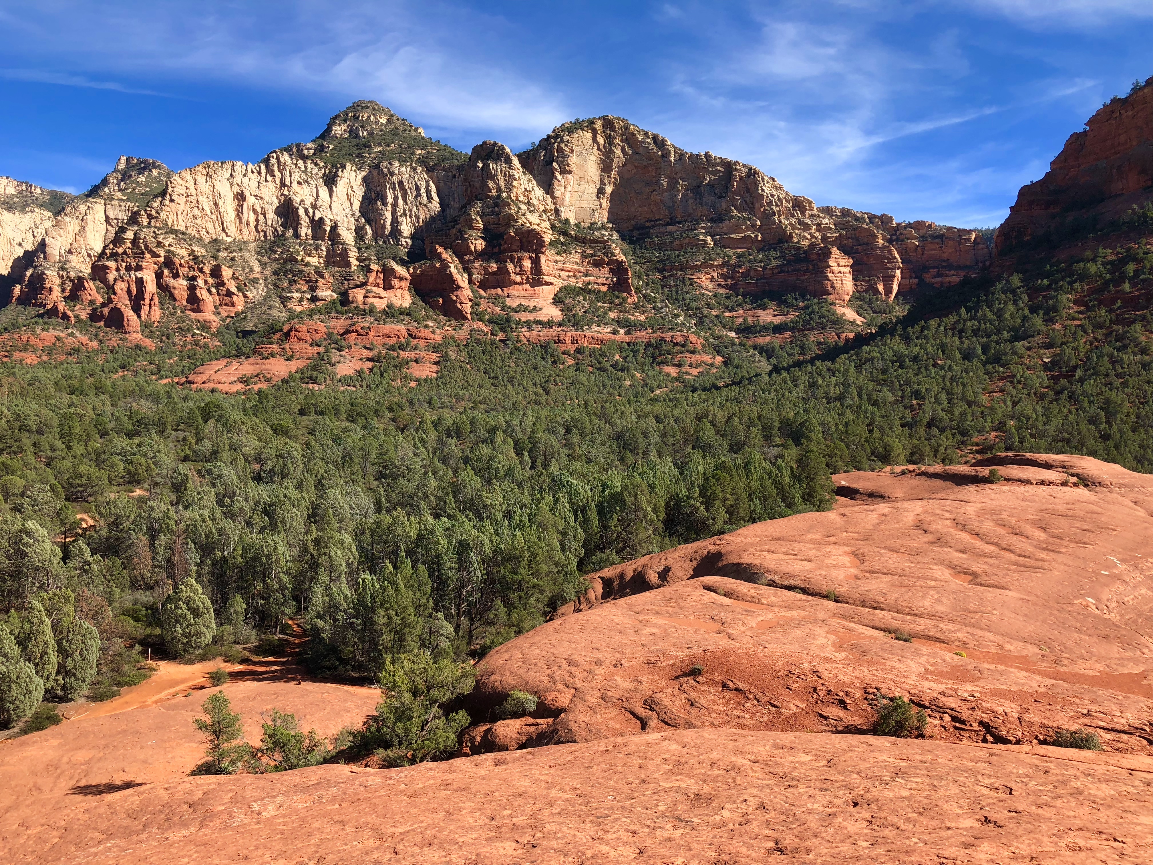 9E963EE0-E2B0-44F7-A60B-90F586692ED4