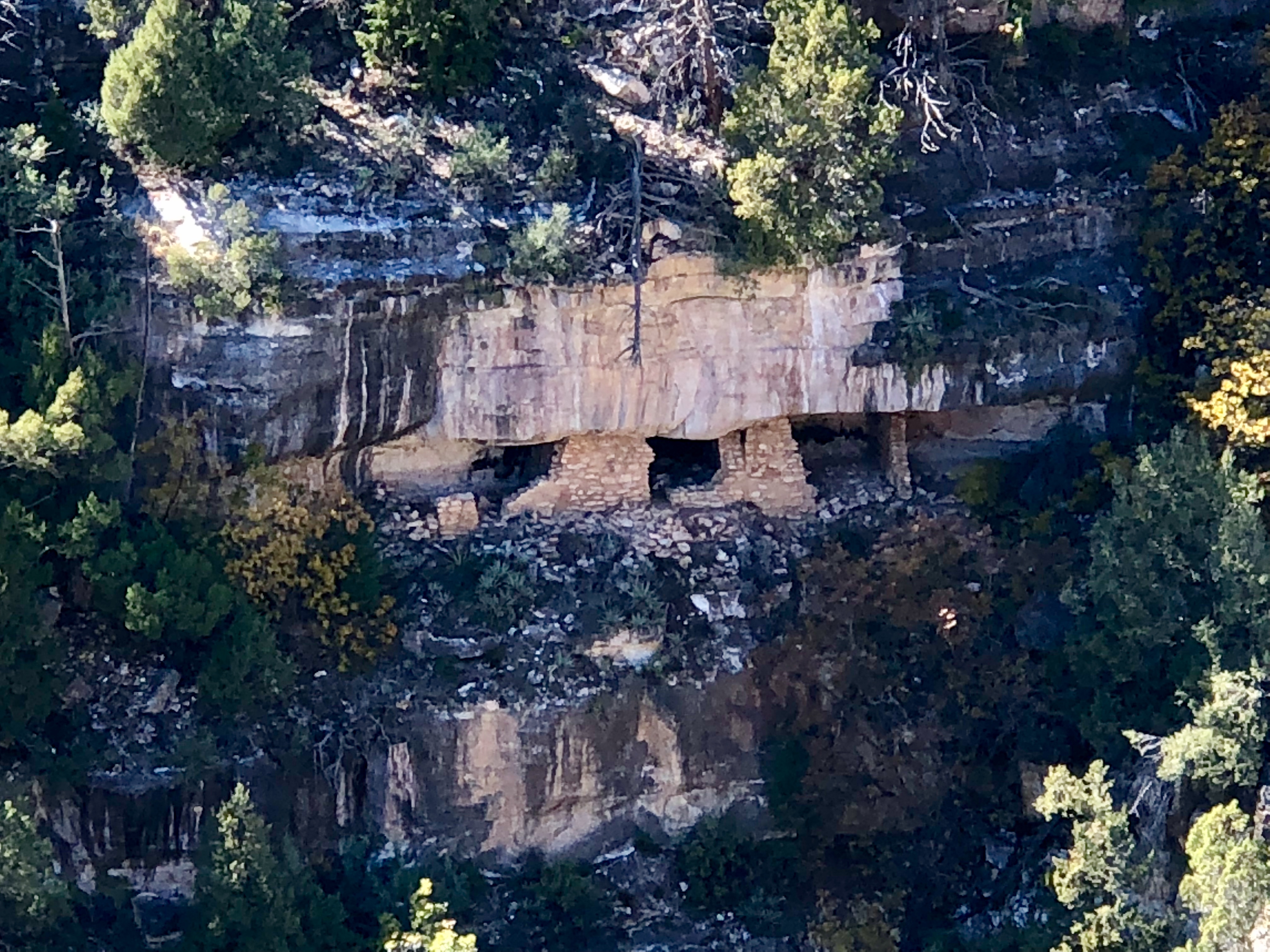 A1368F25-6803-4794-8001-AD0713976A52