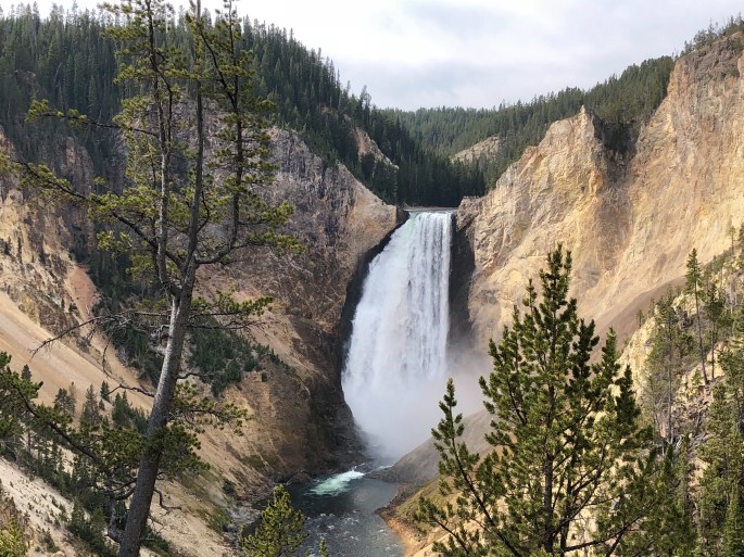 DE3665F6-108C-4BE2-BF07-CEEFFC9C84E8