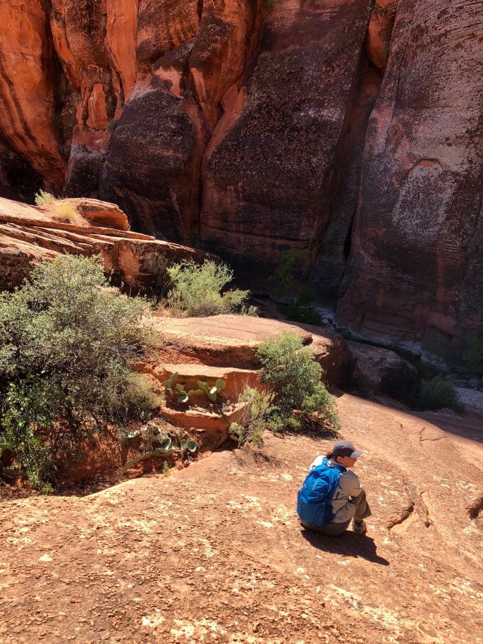 FCD9B55F-81E1-4FB4-8CF2-E976514B4CDD