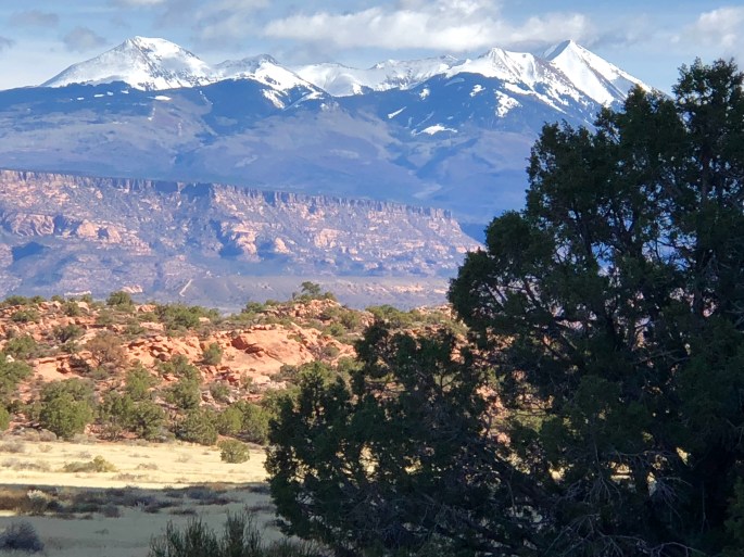 2BCBBC3C-21EA-4D3C-A62C-BE276F281688