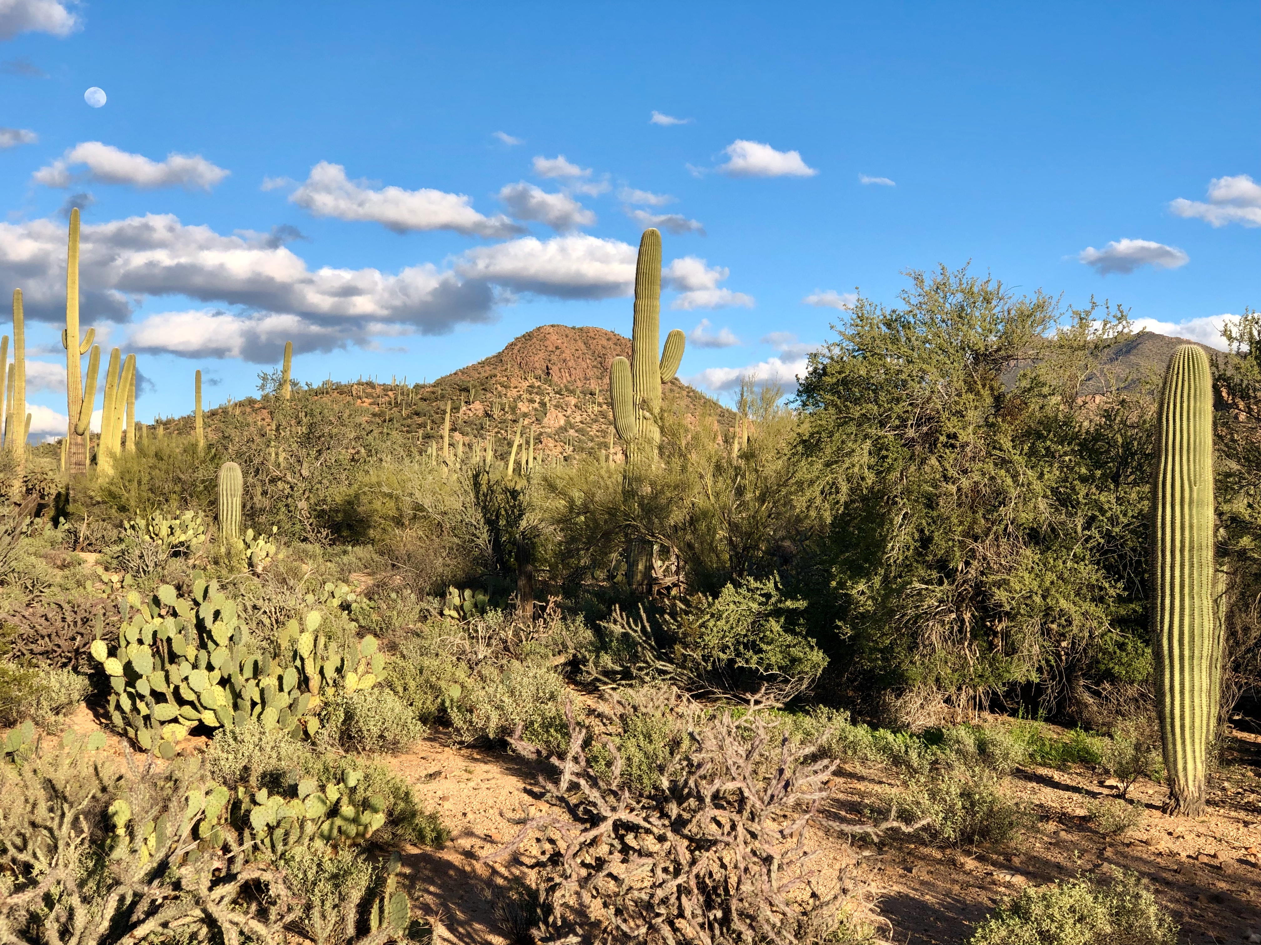 1BB3EED8-2DB4-4A2E-8797-8DBFFA18063D