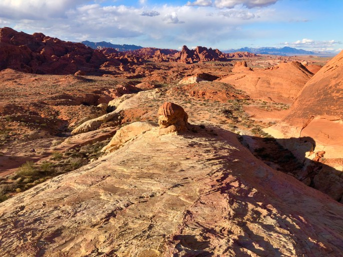 58FF43A2-524A-4F6A-B429-E284874E908B