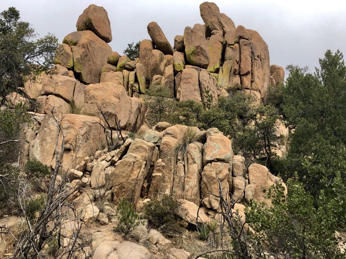 CCAED985-9241-437C-BF79-E7B289D5BC6A