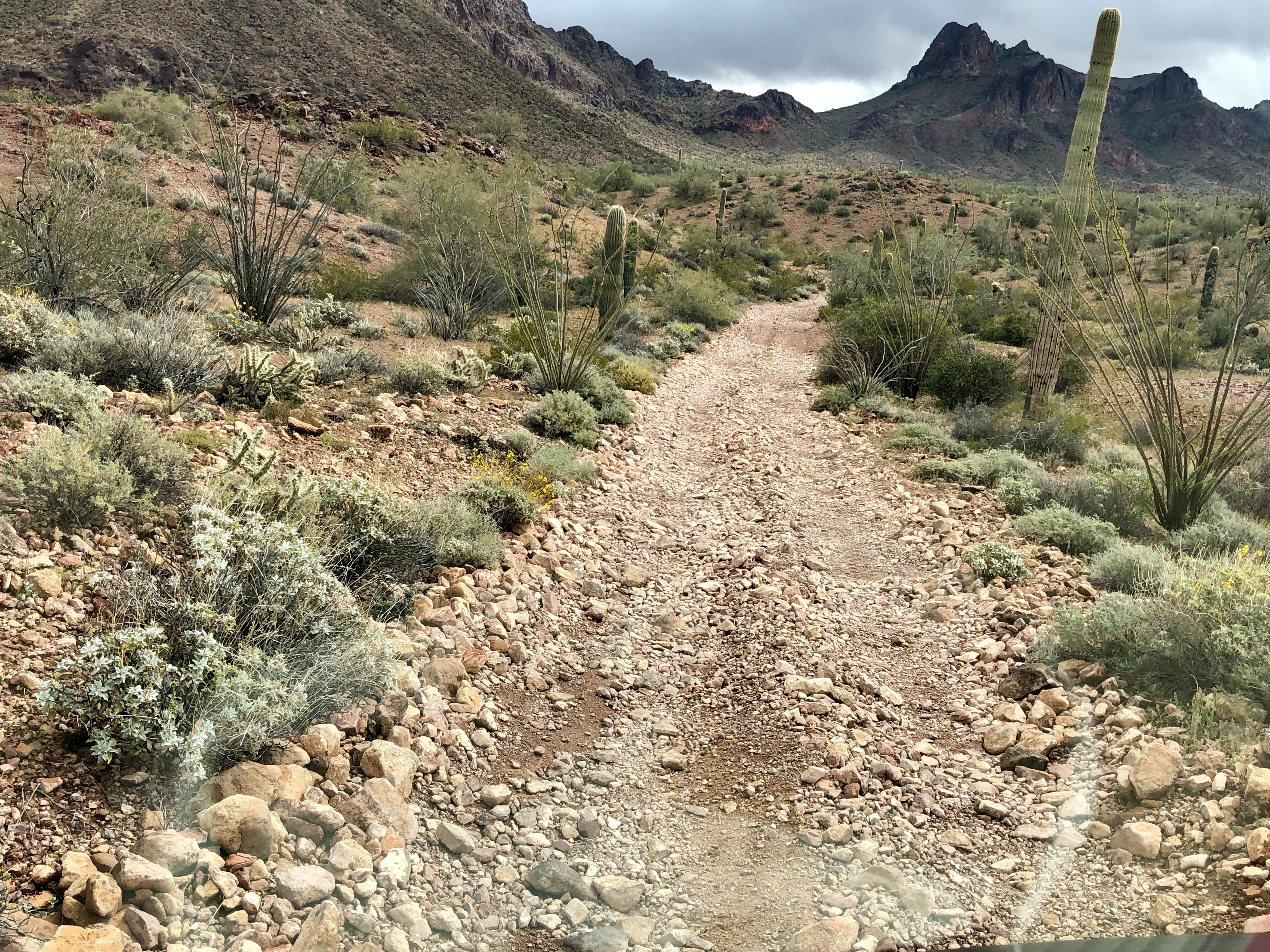 05EB5010-E490-4AEF-9F04-6C7E6ADF3468