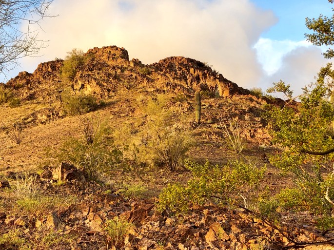 0ED9BF52-927B-4EF8-BD75-BC64EE8FF946