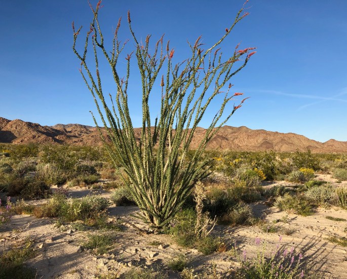 34DCBD8D-98EB-4FDC-B5CC-186857FDB5E2