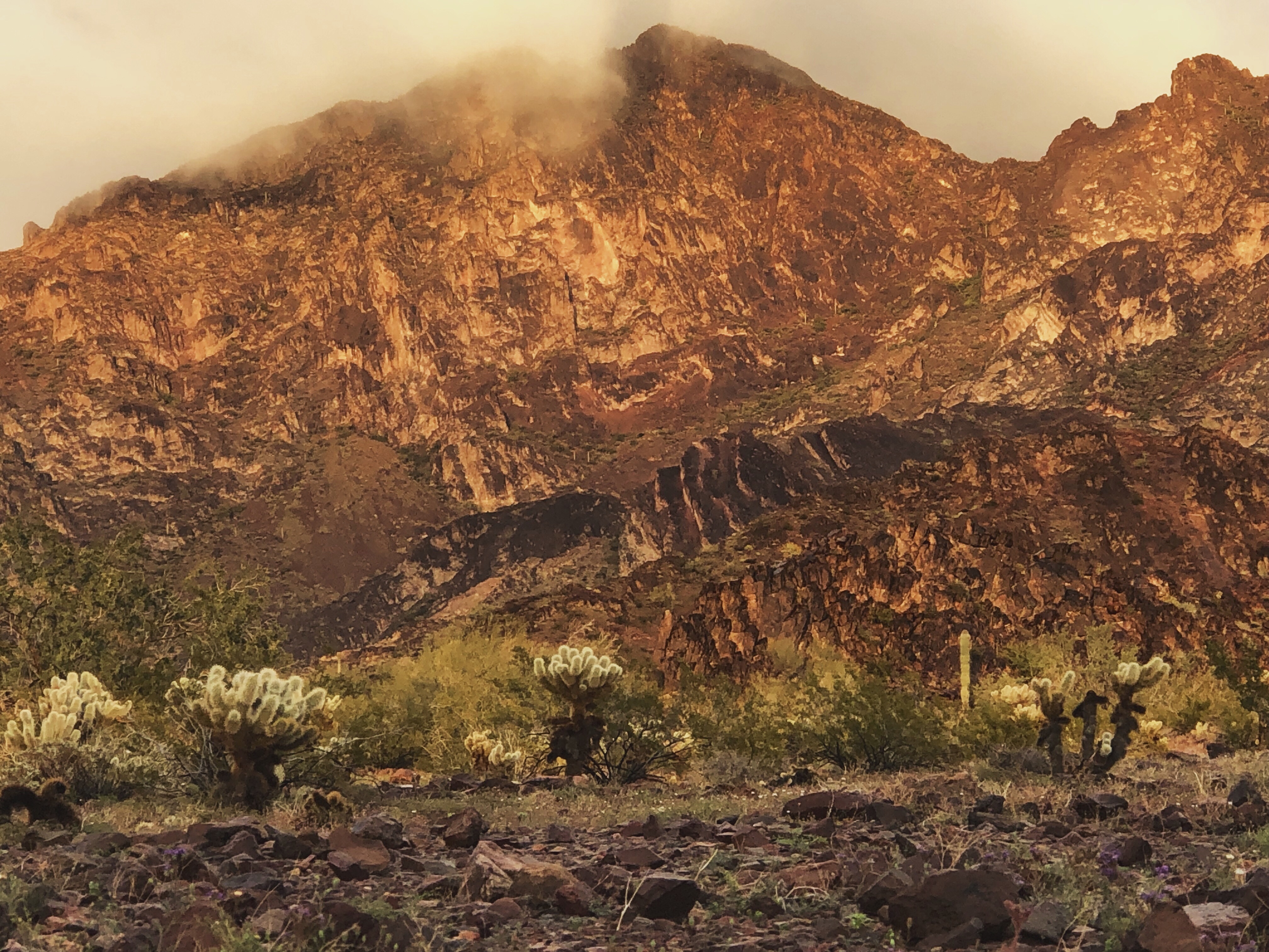 89C188A6-E2B9-4B48-A441-984E96160385