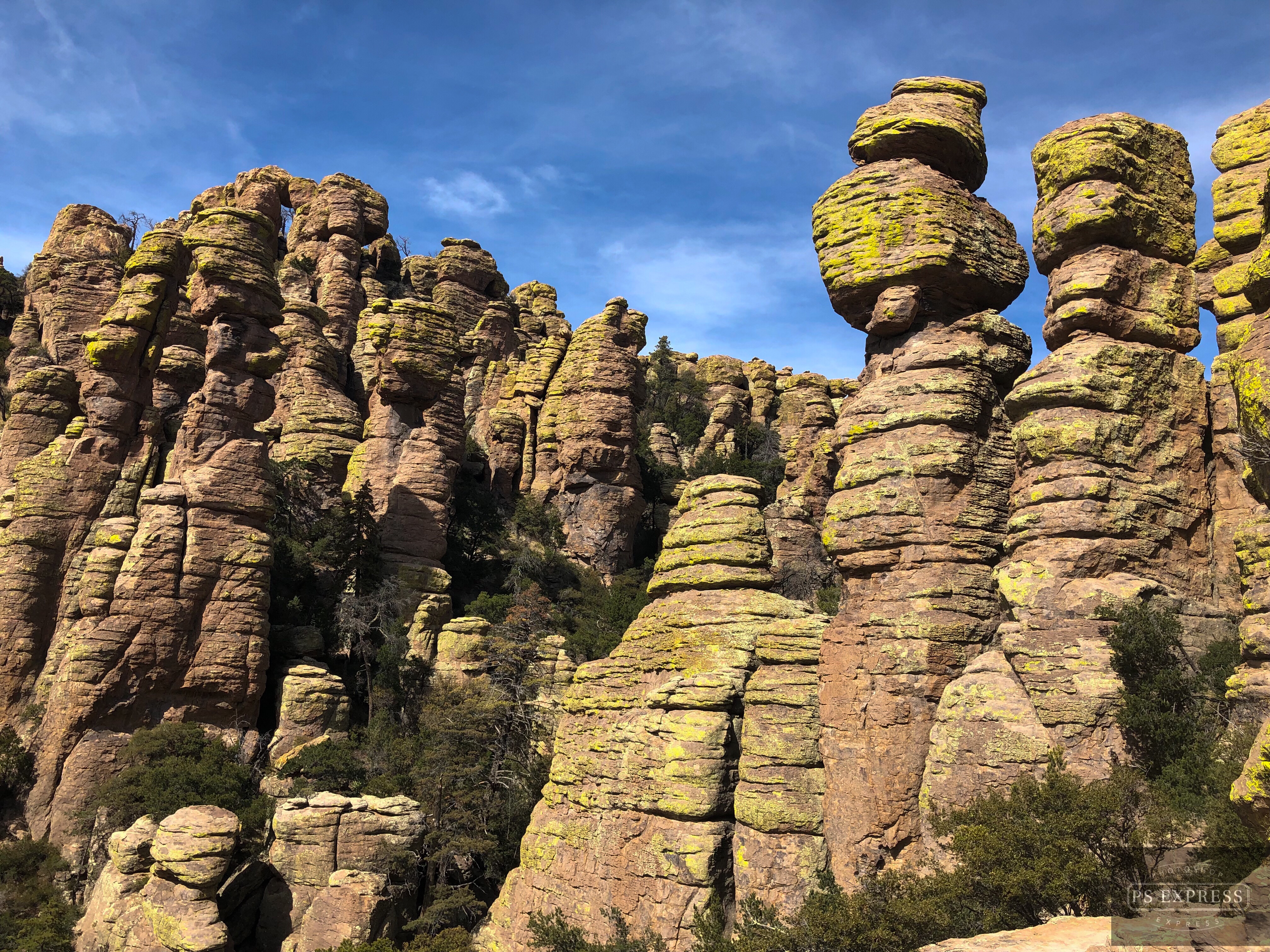 93A425BE-EC63-45F3-9430-225588C7070E