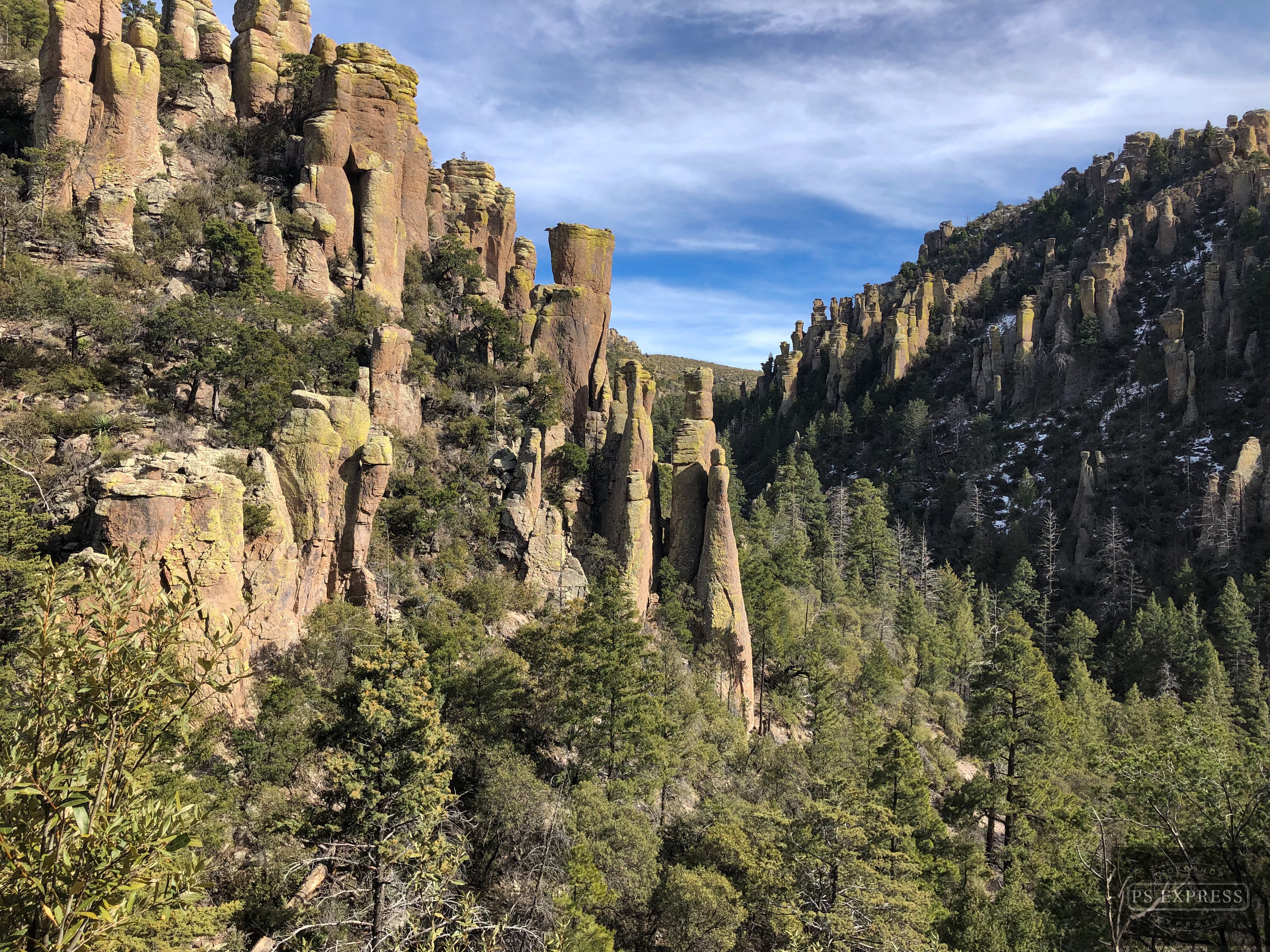 96877E54-7335-49E2-AFF3-5C528A51D694