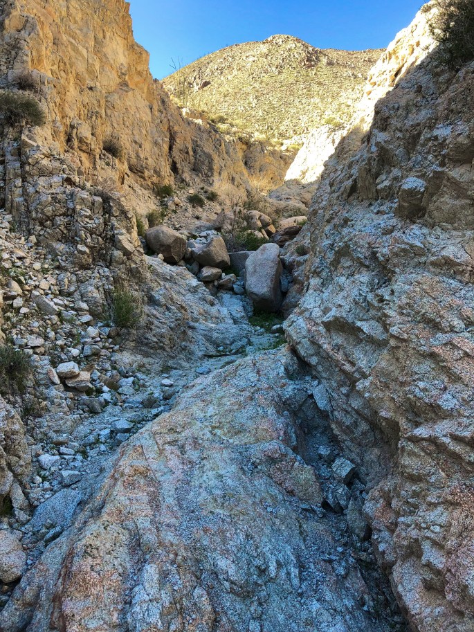 BDA5786C-741D-41A8-A2A1-B6FF63BFFBFF