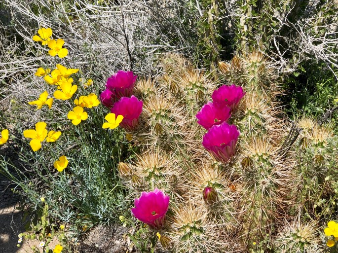 DBBF2116-2DB9-4625-A305-87C86B4BB5D4