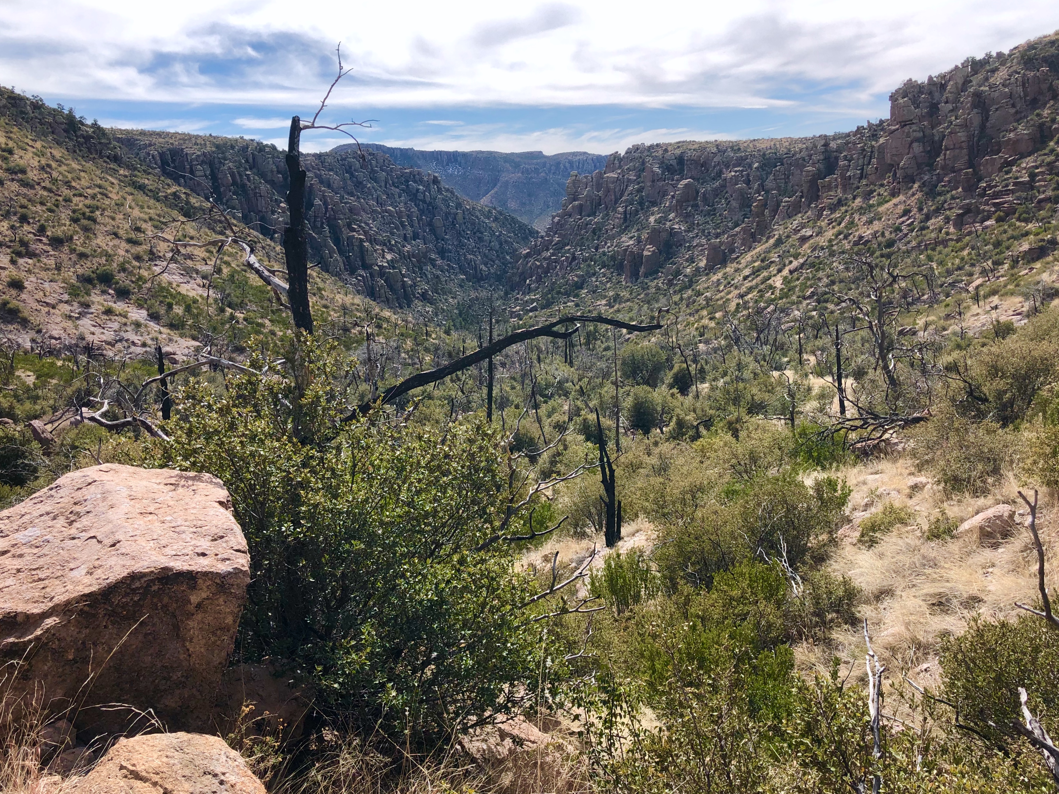 FD303100-AC52-4F59-B0D3-9713D28730A1