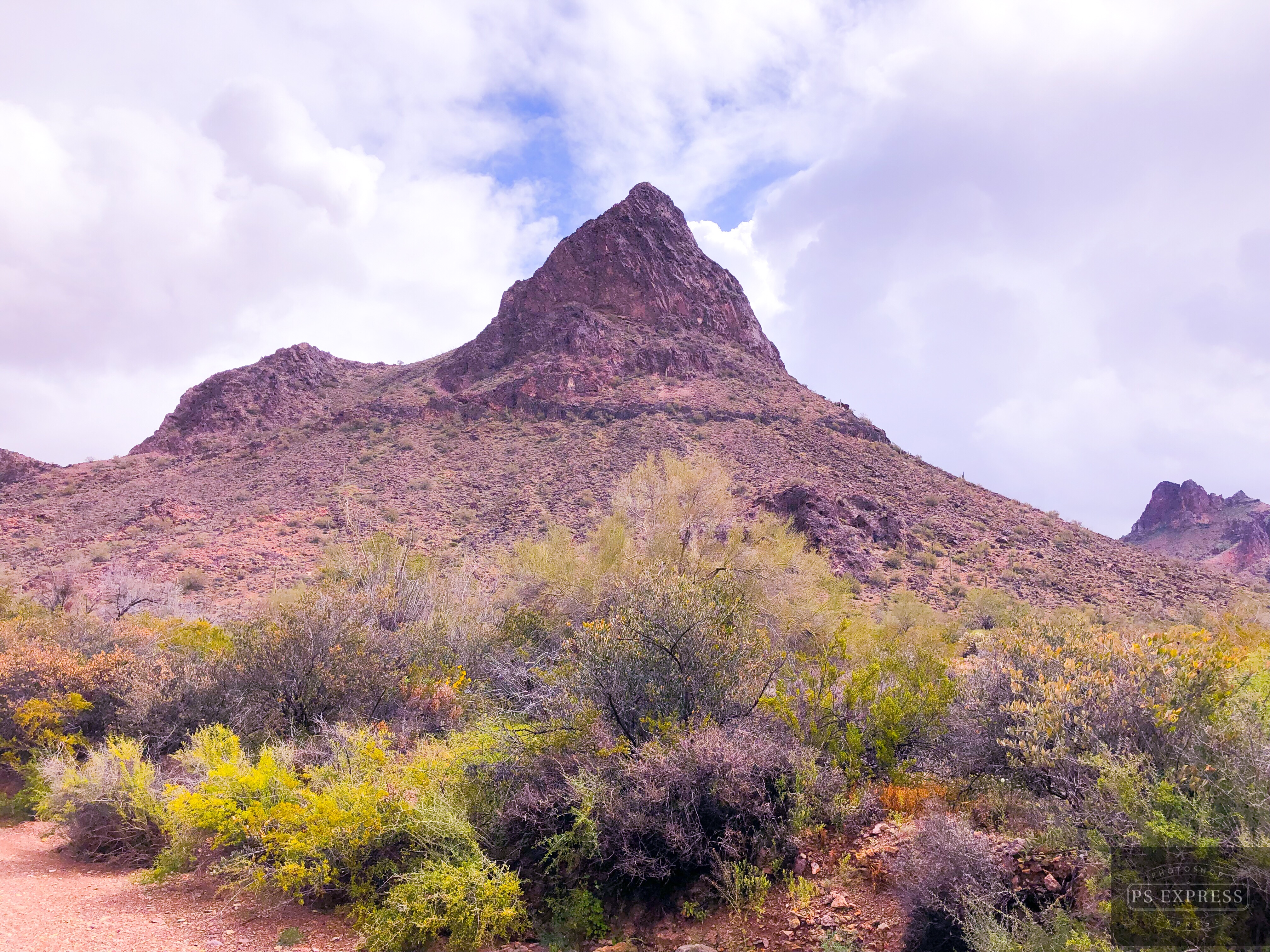 FEEDB9AA-BC89-4965-9122-A27A36DD45BE