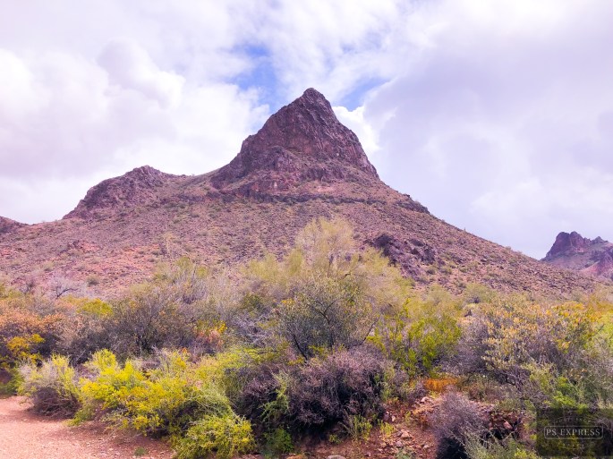 FEEDB9AA-BC89-4965-9122-A27A36DD45BE