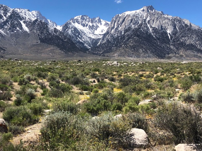 1CF28713-823A-494D-ADEE-4AB464C6A4FF