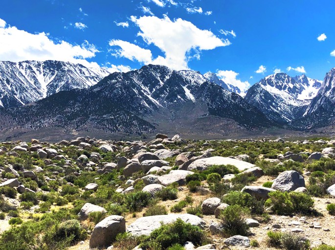 337986AB-4C4B-48F6-A093-E2BE9F21A78C