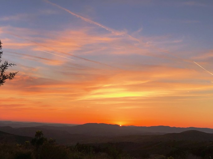 646B46FD-A6BD-4D20-BC07-B07BD89BC4F6