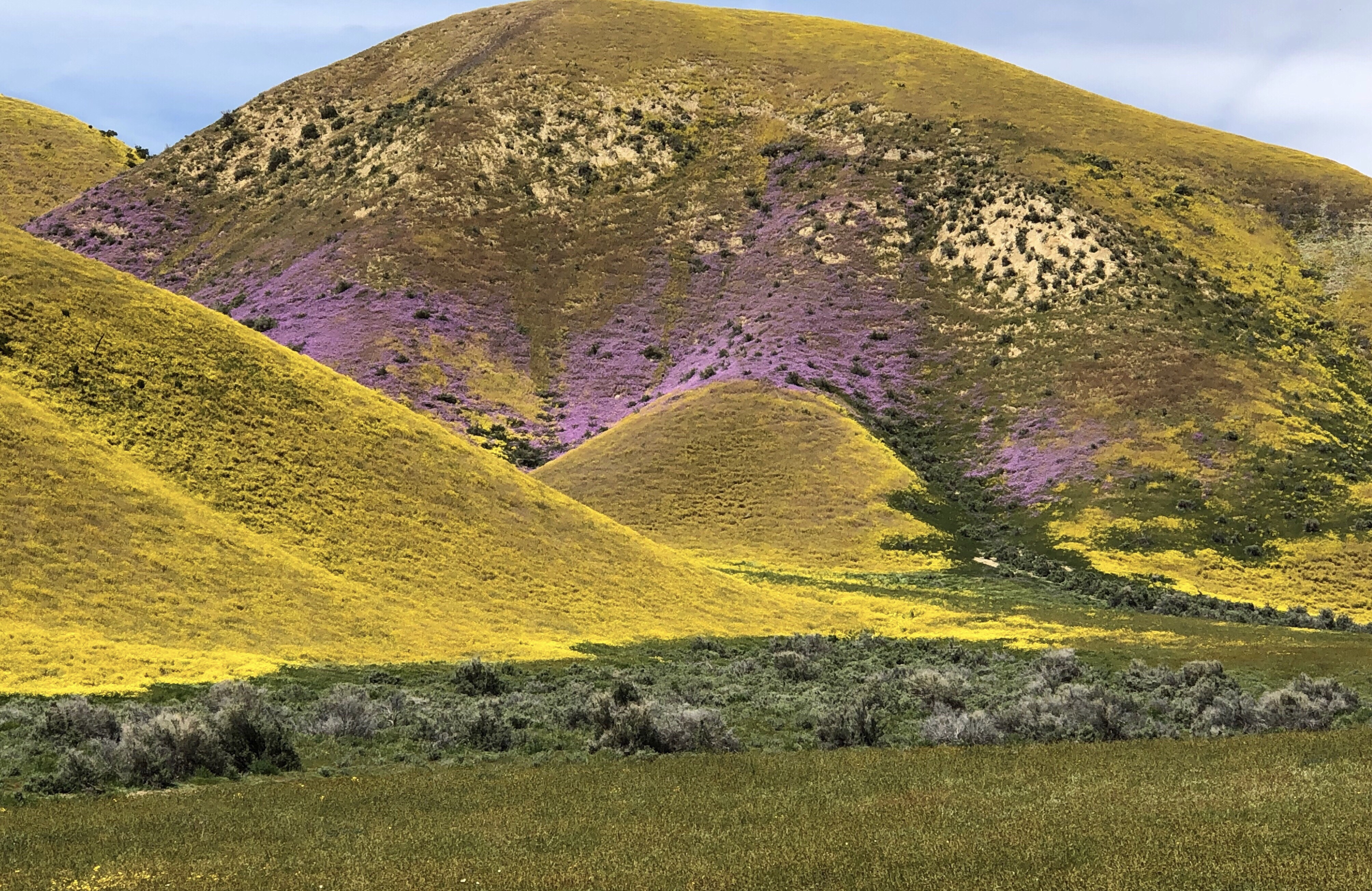 79FEC98B-4841-4D6E-8DD1-8E0C1A57499F