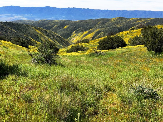 7E7E580E-F8B9-4881-92D3-820B8083F1FE