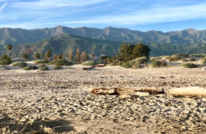 8DD284FB-94AB-4B48-B274-DBDFD976CF10