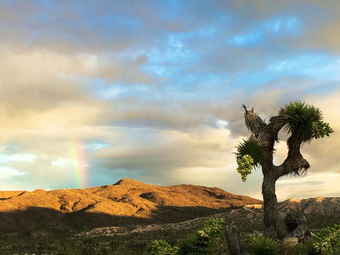 9F604C9A-41A9-472E-BB48-91441DB8B8A7