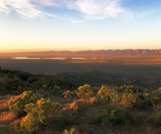 B37647A2-3F66-4773-8AE8-E71C0E21006E