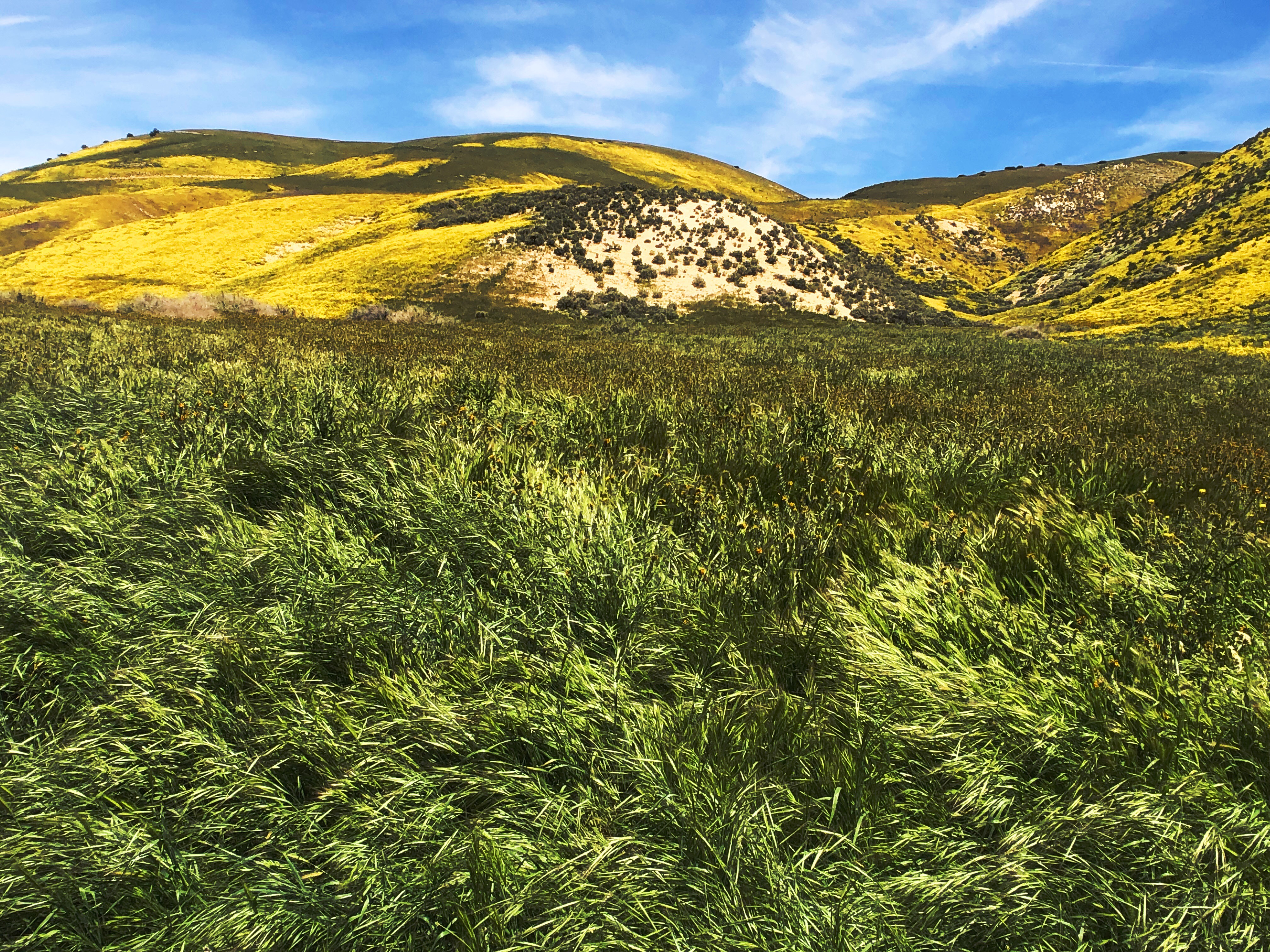 E56B7CD8-5685-46E4-9648-8DBC72B513E0