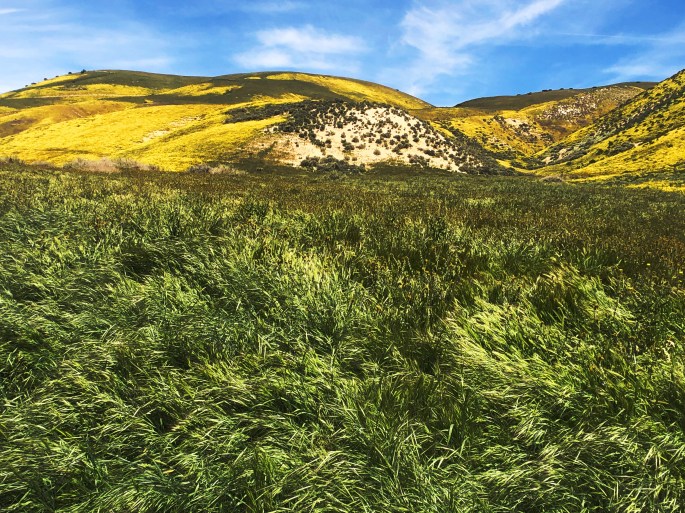 E56B7CD8-5685-46E4-9648-8DBC72B513E0