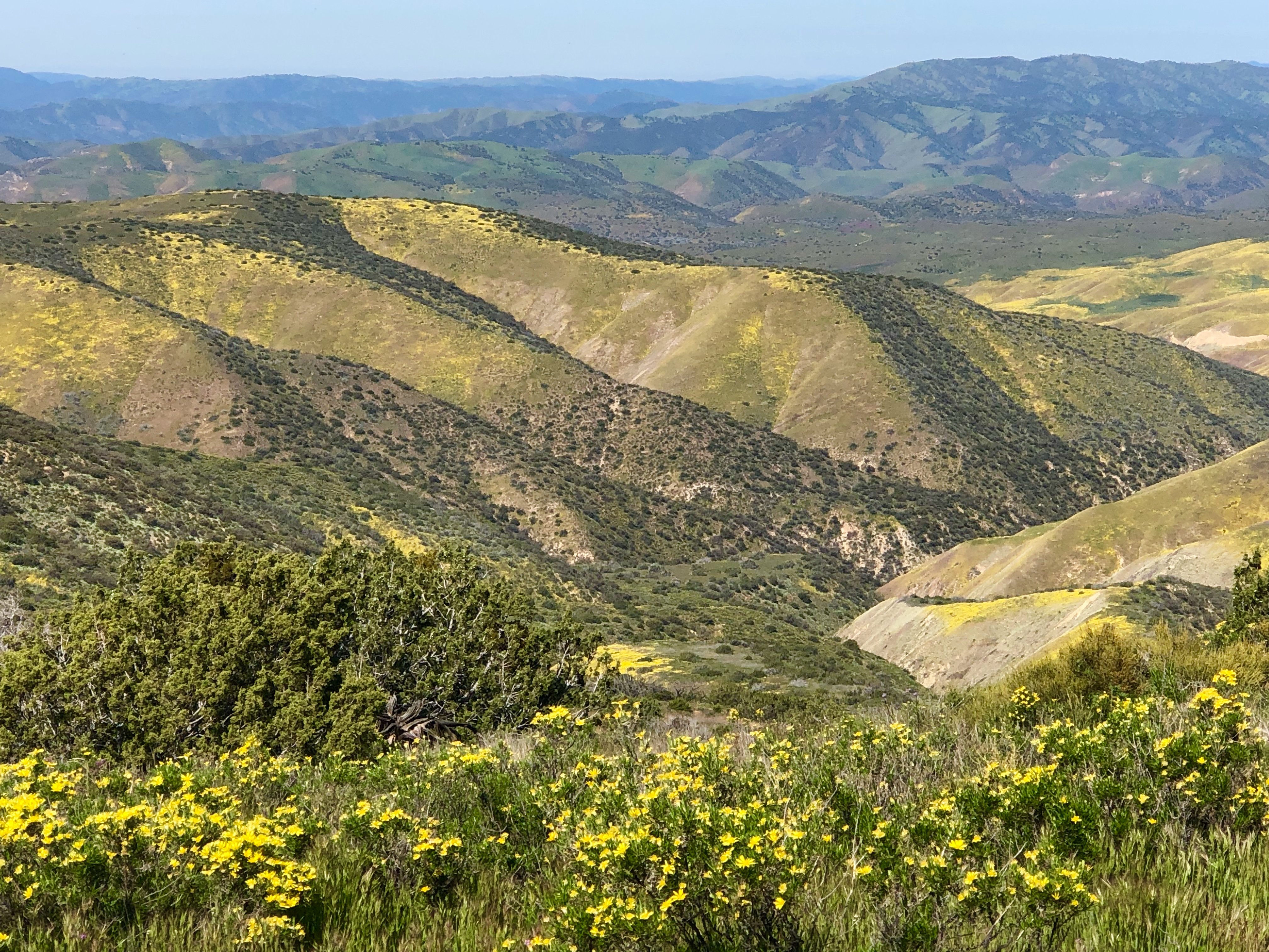 F4514F1D-7322-48FC-9C0F-7BEFF90300E9