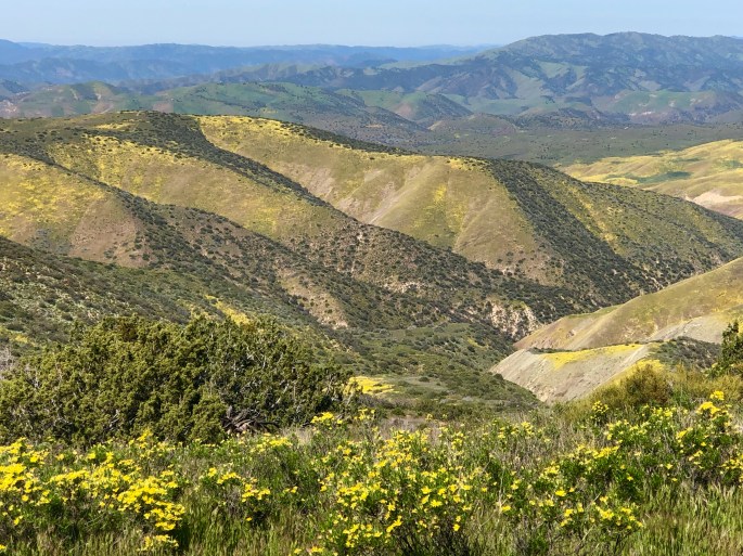 F4514F1D-7322-48FC-9C0F-7BEFF90300E9